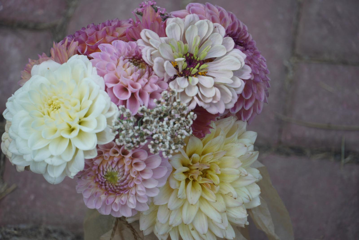 Cut-flowers | Florist Orders